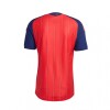 CAMISETA DE HOMBRE PRIMERA EQUIPACION ESPAÑA Red