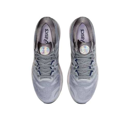 Championes Asics Gel-Nimbus 23 Platinum Grey & Rainbow