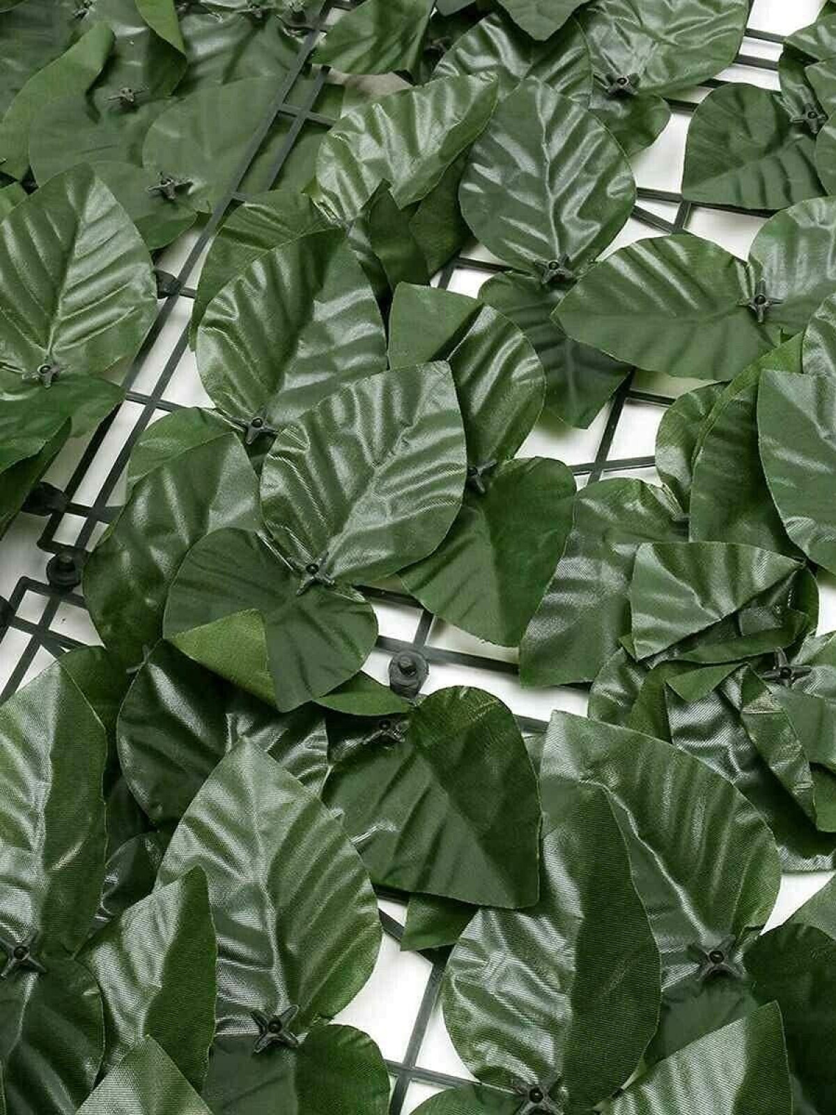 ENREDADERA - VERDE — Guapa - Paprika