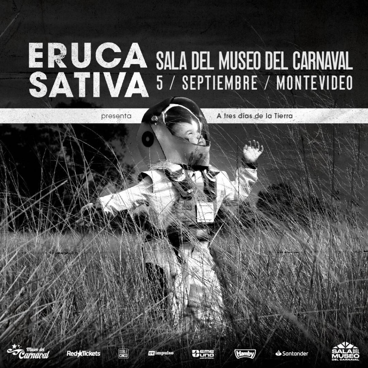 Eruca Sativa En Sala Del Museo - General 