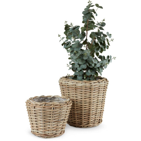 Maceta Ringtrost Ø37/32 Kubu Natural