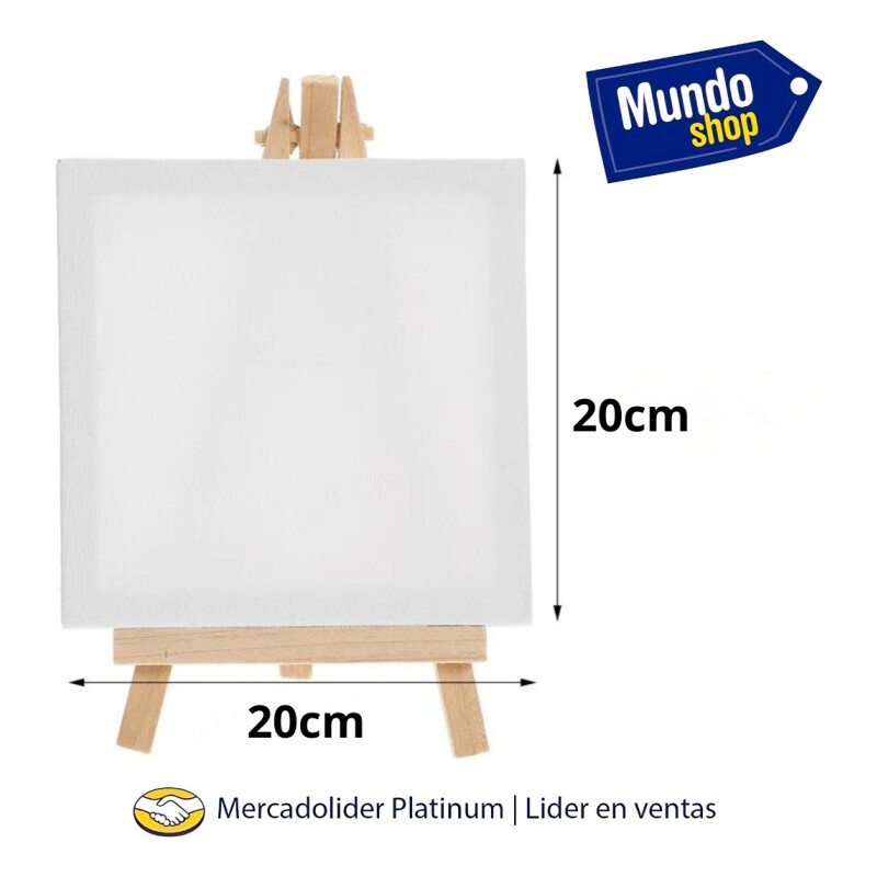 Pack X 5 Lienzo Bastidor 20x20cm Cuadro Pintura Oleo Blanco Blanco