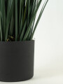 Planta Grass Violet 95cm Color Unico