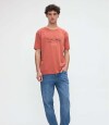 Remera Floyd Ladrillo