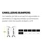 Canilleras de Hockey Bumpers Negro