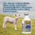 IVERMIC MICROSULES FRASCO 20 ML