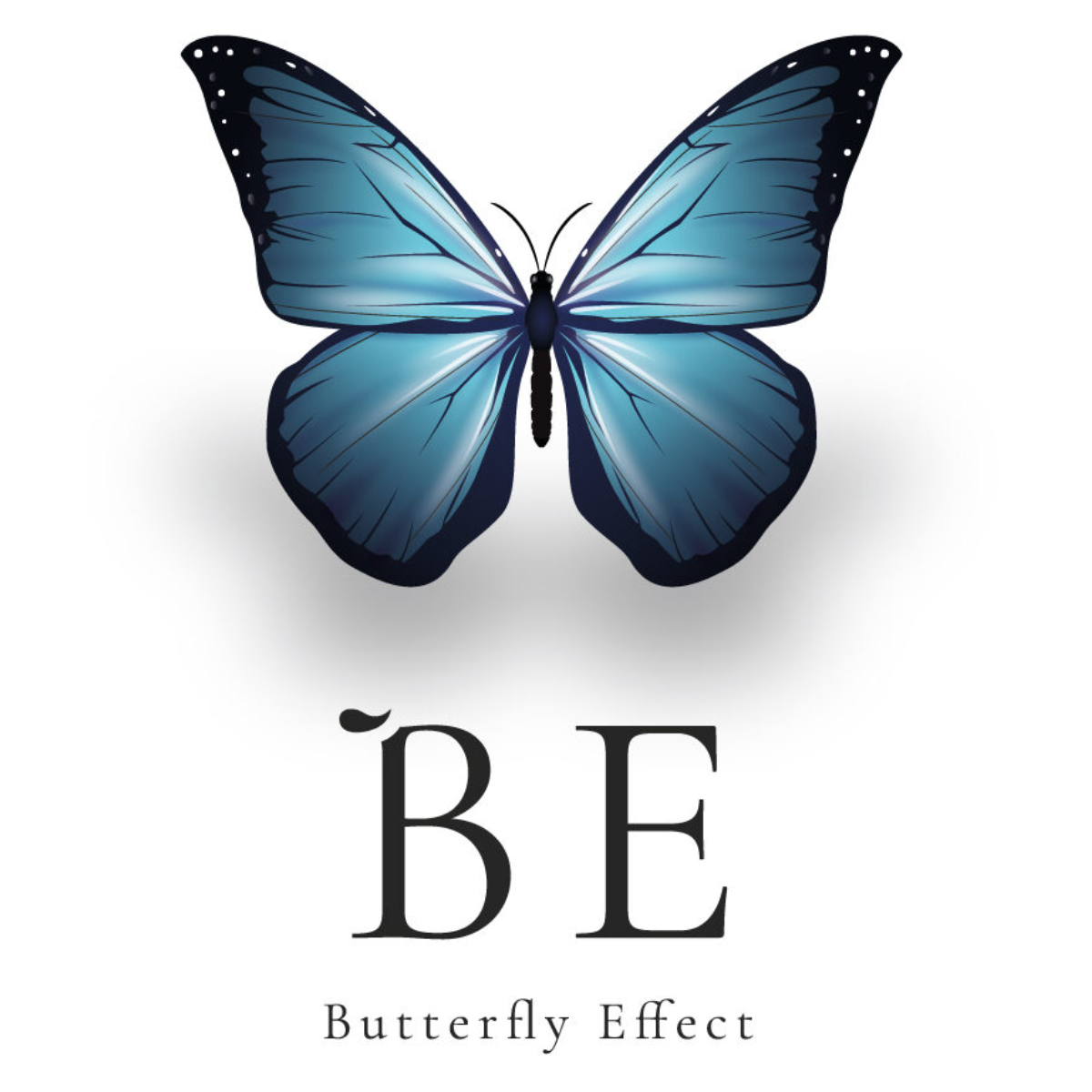 Butterfly Effect