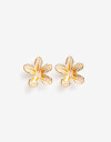 Aros Pasantes Color Aros Pasantes Flores - Dorado