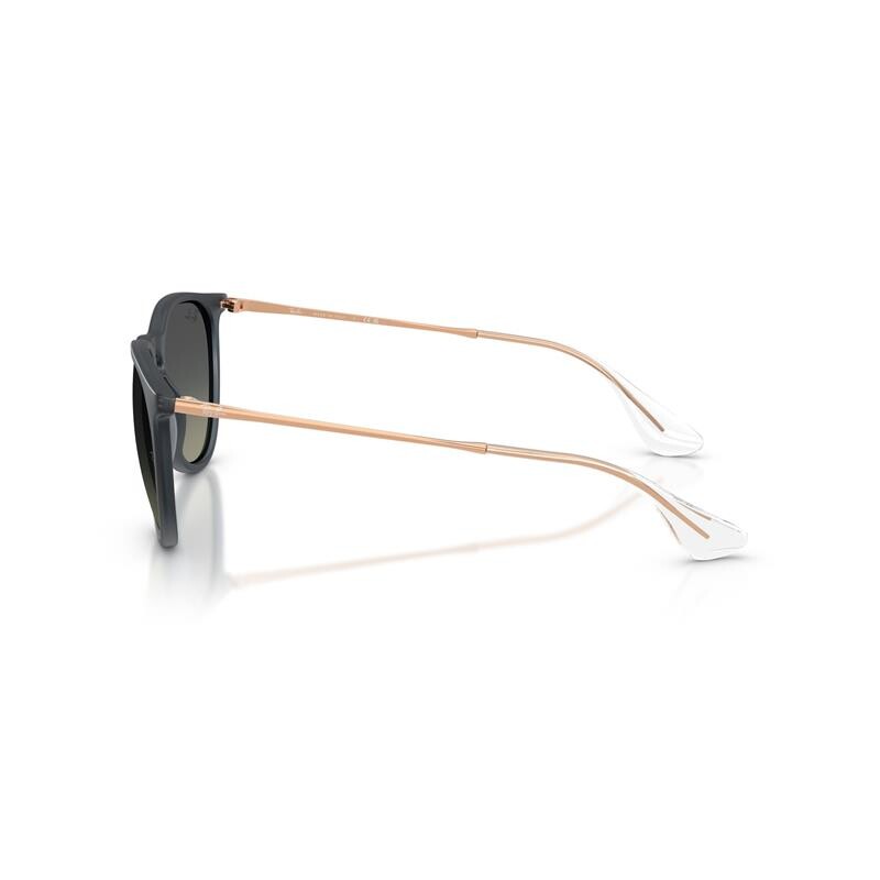 Ray Ban Rb4171 Erika 6813/11