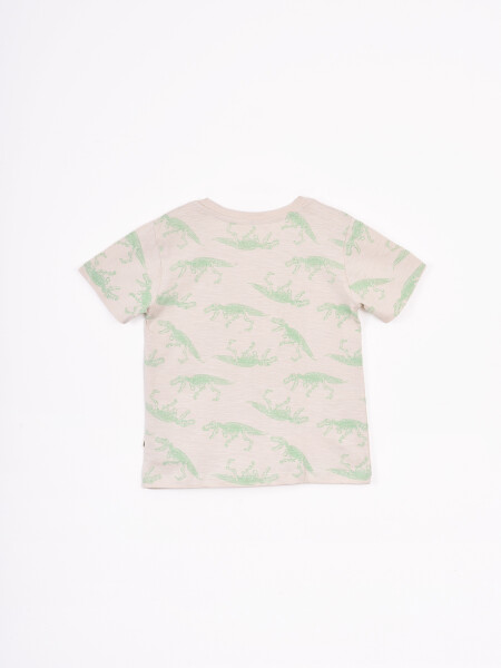REMERA JOACO CRUDO