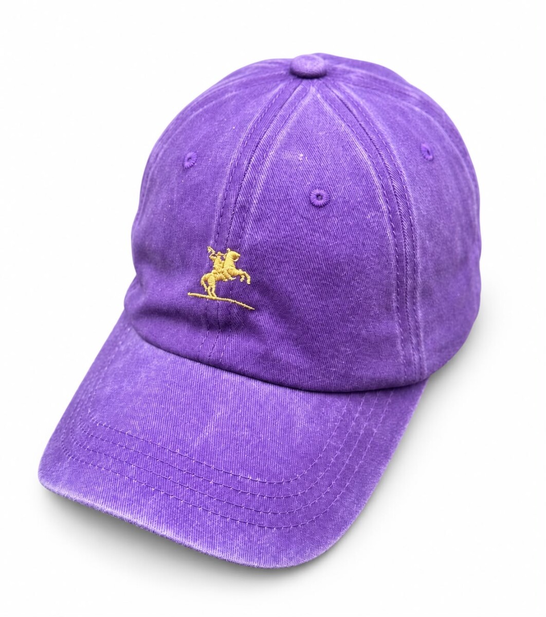 Gorra Visera Bagual - Violeta 