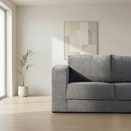 Sofá Olimpus - Microfibra - 2 cuerpos Cora 06-153 (Grafito)