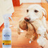 Spray Educador Vetys Anti Mordidas Lamer Mascotas Perro Spray Educador Vetys Anti Mordidas Lamer Mascotas Perro