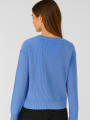 Sudadera Escarlata Azul