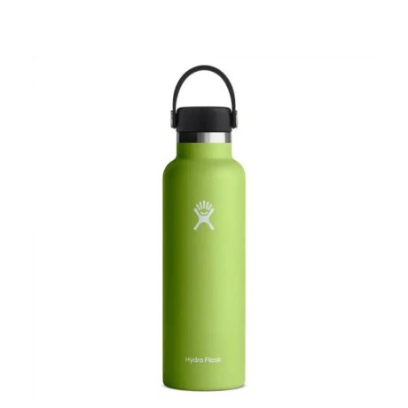 Botella Hydro Flask 21 Oz (621ml). Standard Flex Seagrass