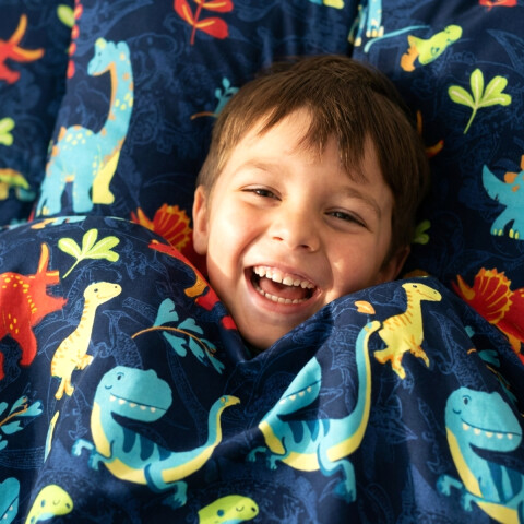 Juego De Sabanas 1 Plaza Toque Algodón Sommier Infantil Dinosaurio - Stegosaurus Juego De Sabanas 1 Plaza Toque Algodón Sommier Infantil Dinosaurio - Stegosaurus