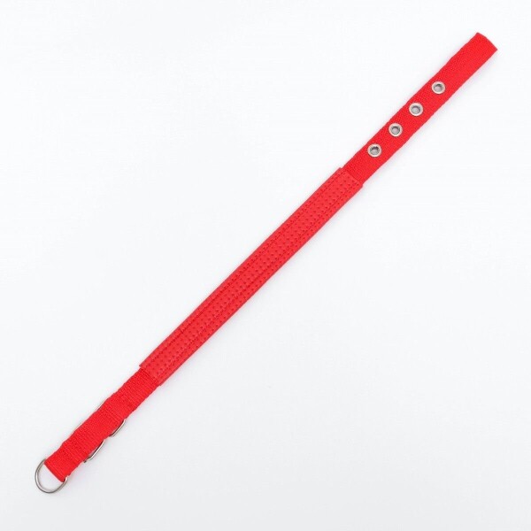 Collar Ajustable Reforzado Hebilla Nylon Perro Gato Mediano Variante Color Rojo