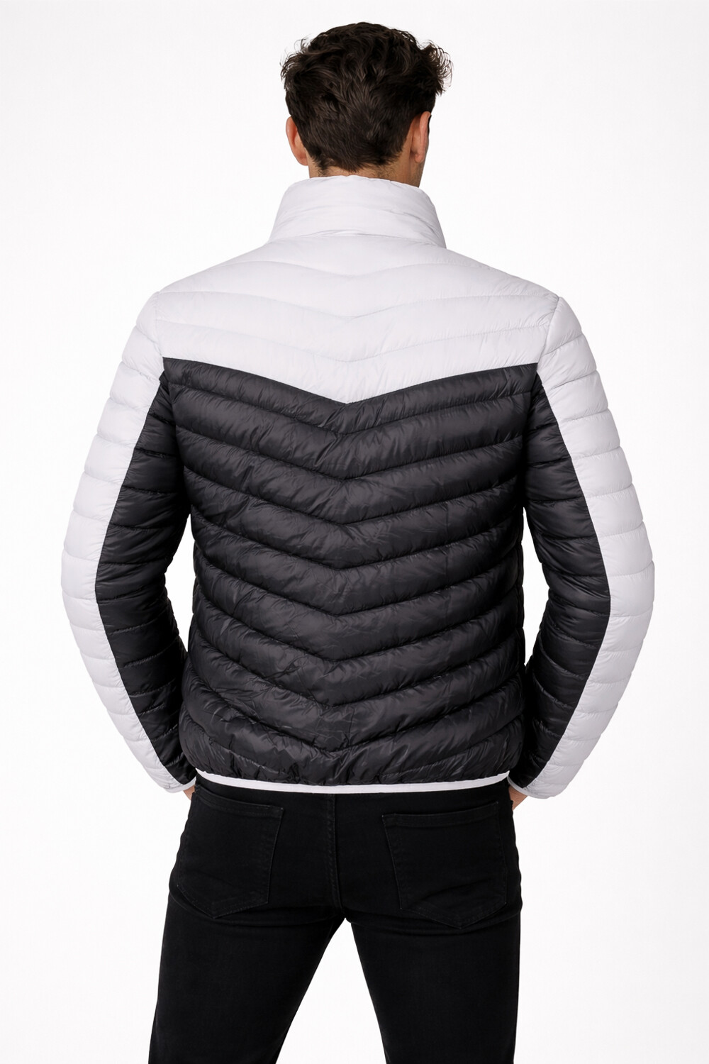 Campera Capele Estampado 2