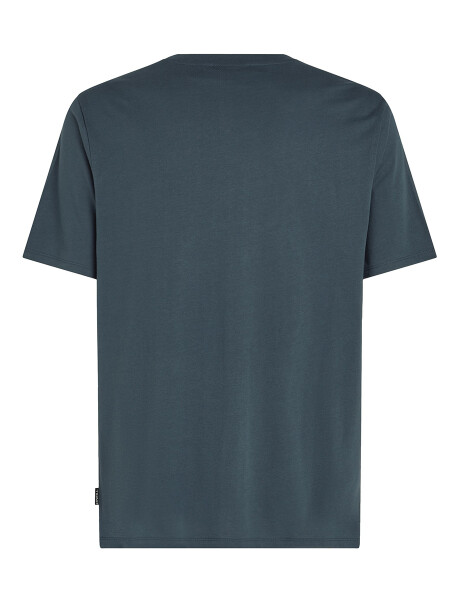 Remera O'Neill Cali Wave Azul