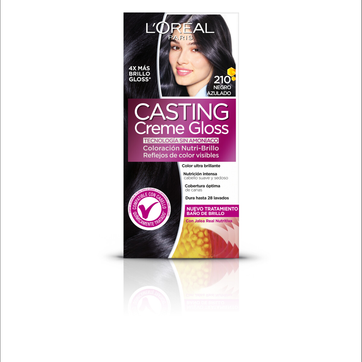 Tinta L'Oréal Casting Creme Gloss Negro Azulado 210 
