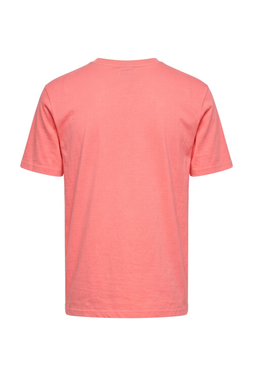 Remera O'Neill Pacific Horizon Coral