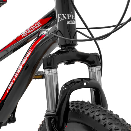 Bicicleta Montaña Rodado 20 Frenos Disco 21 Cambios Rojo