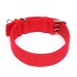 Collar Hebilla Nylon Perros Raza Grande 65 cm Ajustable Variante Color Rojo