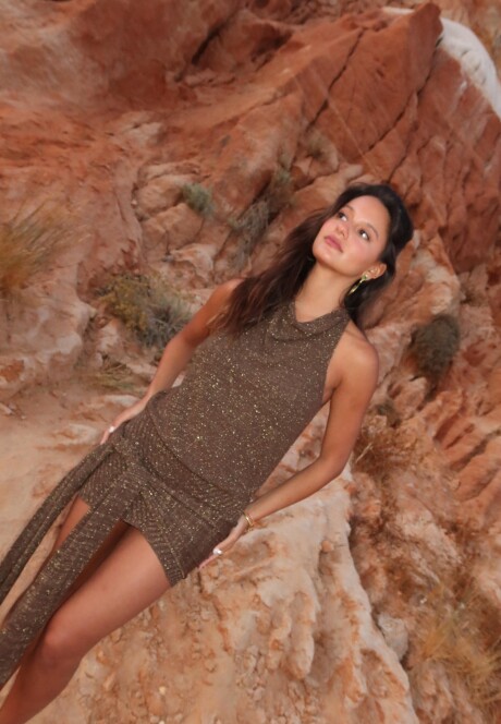 Preorder - Vestido Avallon SS27 Coffee