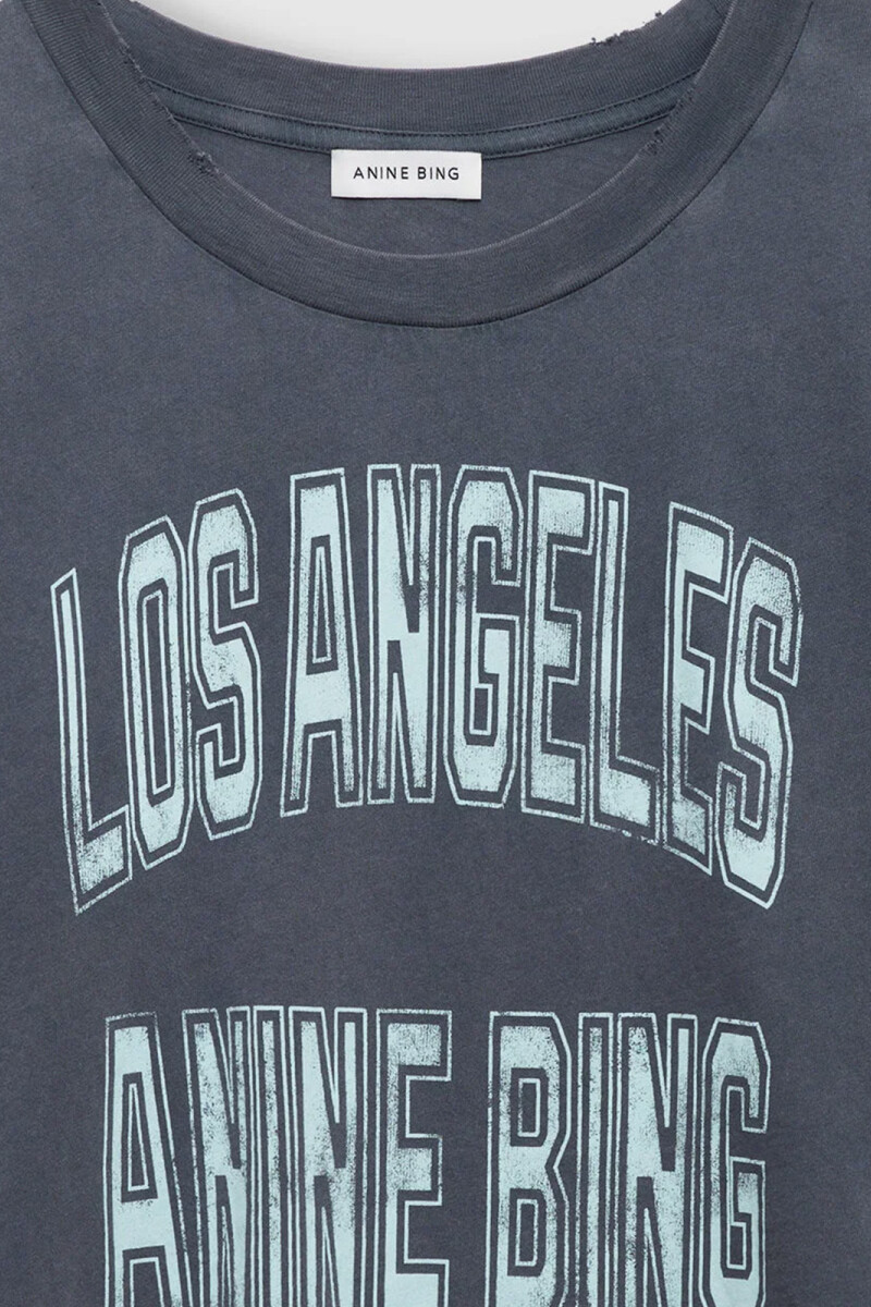 REMERA JOHNNY Gris