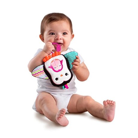 Peluche Sensorial Pinguino Didáctico Bright Starts 10813K 001