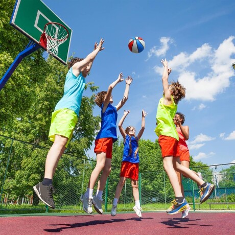 Aro Basketball Niño N°5 Mini Basket + Red + Pelota! Bkt003001
