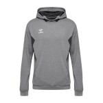 BUZO AUTHENTIC PL HOODIE UNISEX GRIS