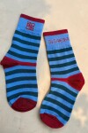 Socks Rule Celeste