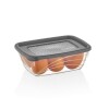 Vianda rectangular 300 ml QLUX IDEAS Vianda rectangular 300 ml QLUX IDEAS