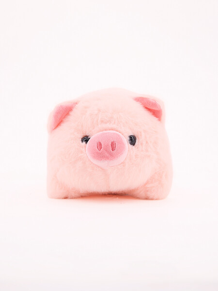 CHACHITO PAUL ROSADO