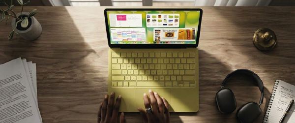 Notebooks y accesorios