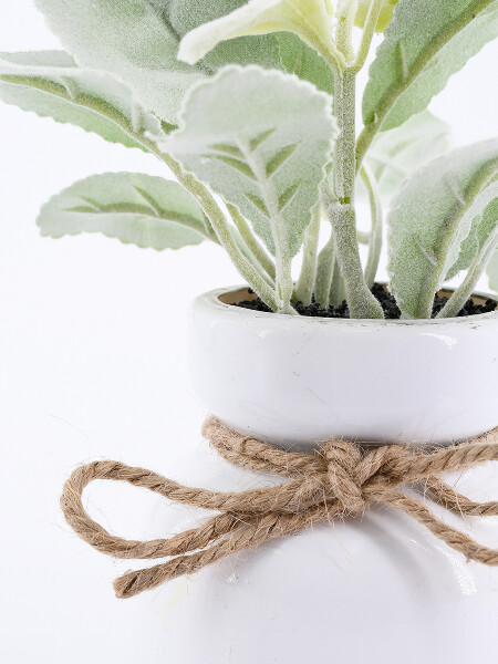 PLANTA CON MACETA VERDE