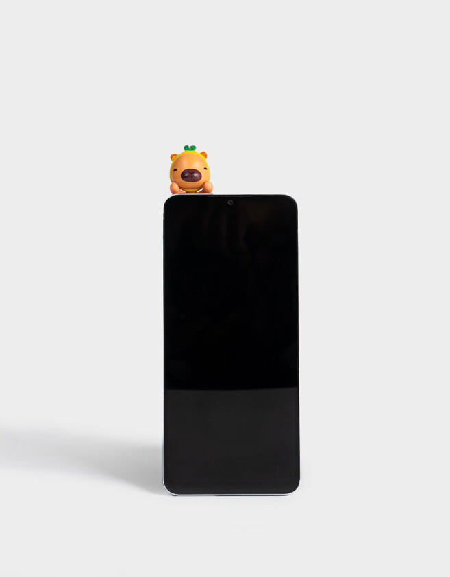 Accesorios De Celular Varios Caja Sorpresa Capibaras - Combinacion Multicolor