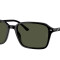 Rayban 2231 Negro