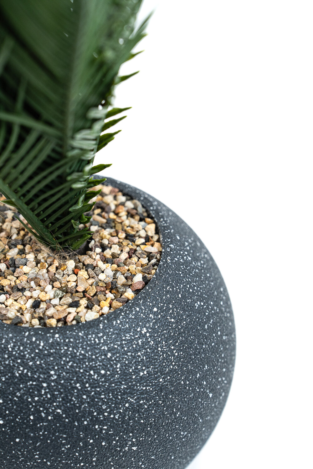 Planta Palmera 50cm Negro