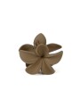Pinza De Pelo Magnolia Cafe