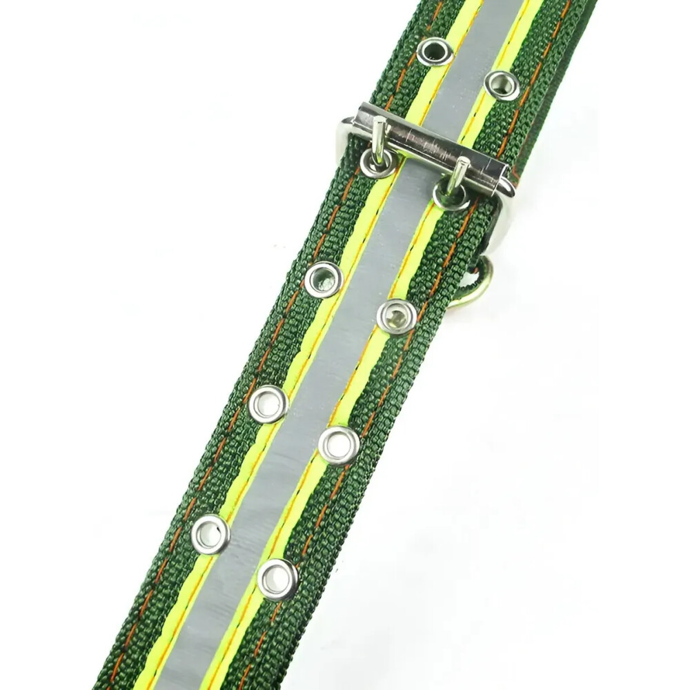 Collar Para Perro Refractario, Raza Grande Collar Para Perro Refractario, Raza Grande