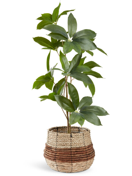 Planta artificial TRISTAN A90cm Planta artificial TRISTAN A90cm