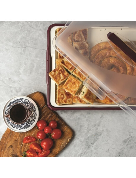 RECIPIENTE PLASTICO P/PASTELERIA C/BANDEJA SURTIDO CELETE-GRIS-ROSA 30x44x9cms RECIPIENTE PLASTICO P/PASTELERIA C/BANDEJA SURTIDO CELETE-GRIS-ROSA 30x44x9cms