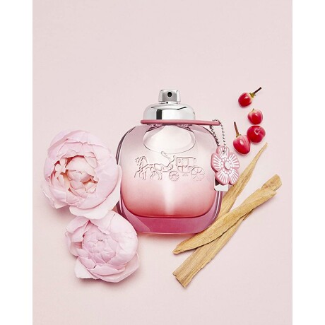 Perfume Coach Floral Blush EDP 50ml Perfume Coach Floral Blush EDP 50ml