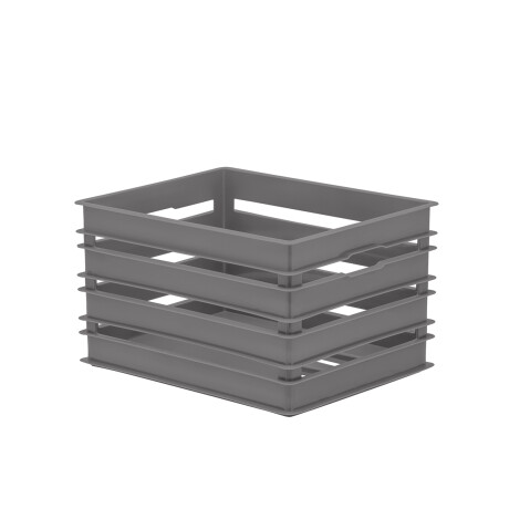 Canasto Organizador 34x24x19 Cm Gris