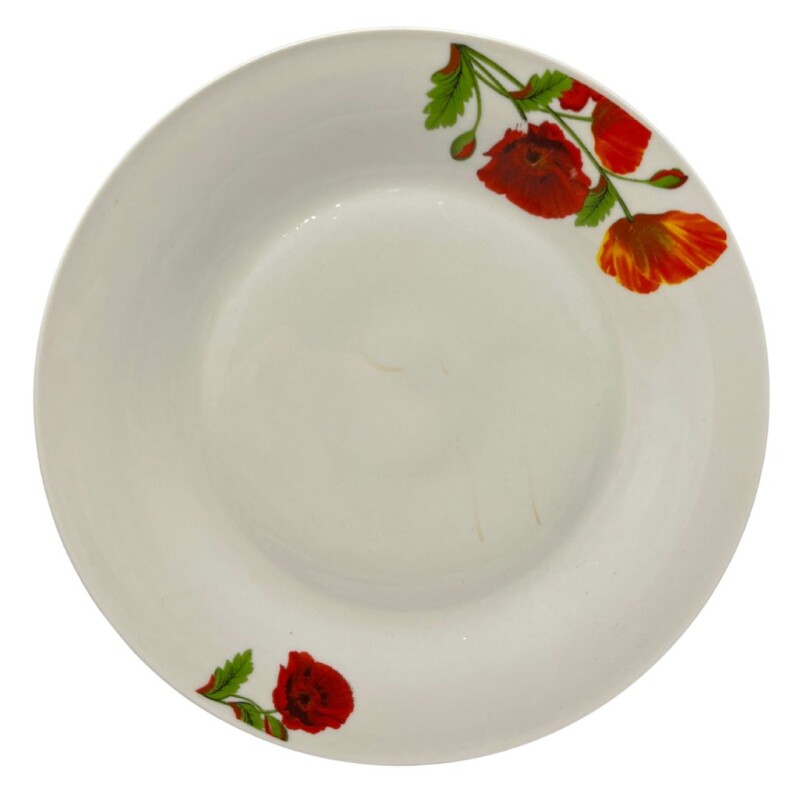 PLATO PLAYO DE PORCELANA 9´´ PLATO PLAYO DE PORCELANA 9´´