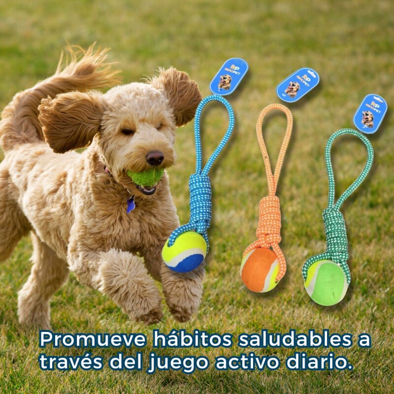 JUGUETE PELOTA CON CUERDA JUGUETE PELOTA CON CUERDA