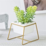 MACETA CERAMICA RECT. C/BASE 8x8x9CM BLANCO/DORADO MACETA CERAMICA RECT. C/BASE 8x8x9CM BLANCO/DORADO