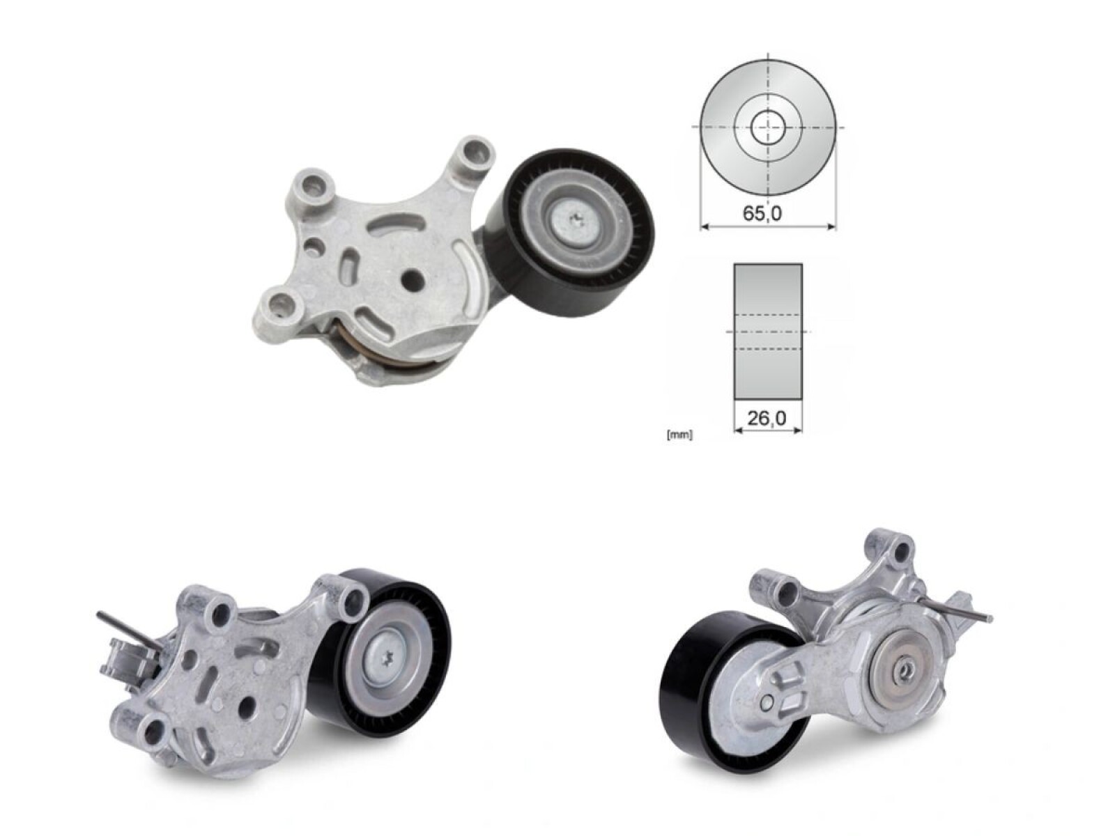 Tensor Correa Accesorios 